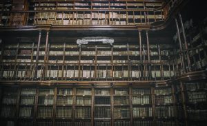 Read more about the article When Machines Remember Everything and People Forget Why